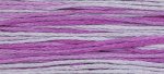 (image for) Sugar Plum